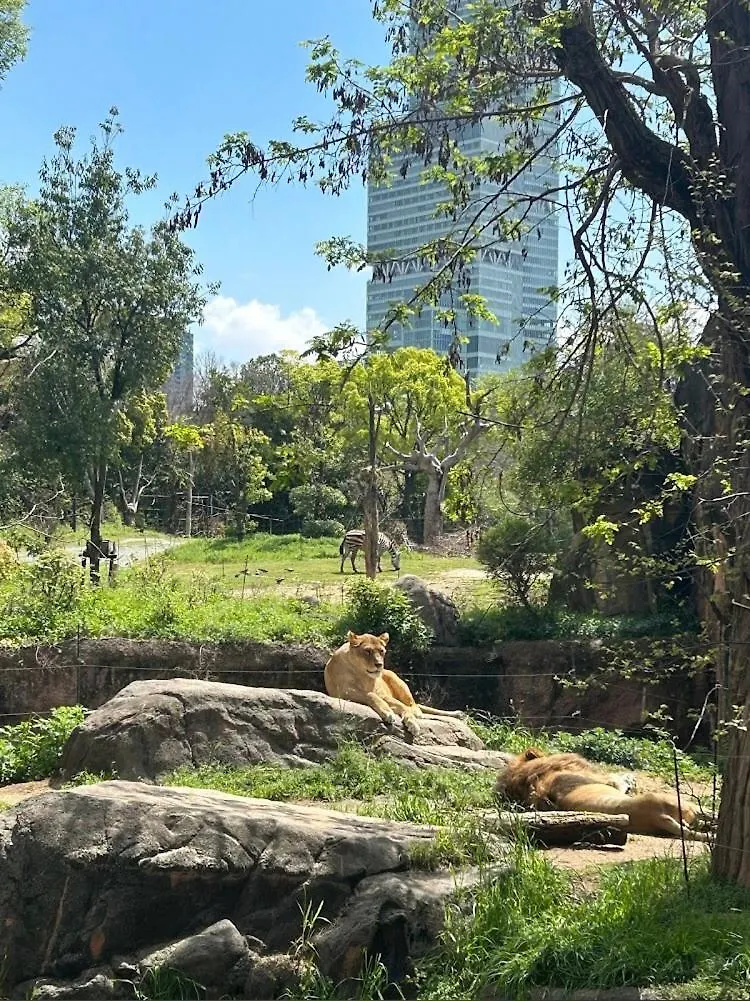 Reifa宿泊動物園前2 大阪市 0*,